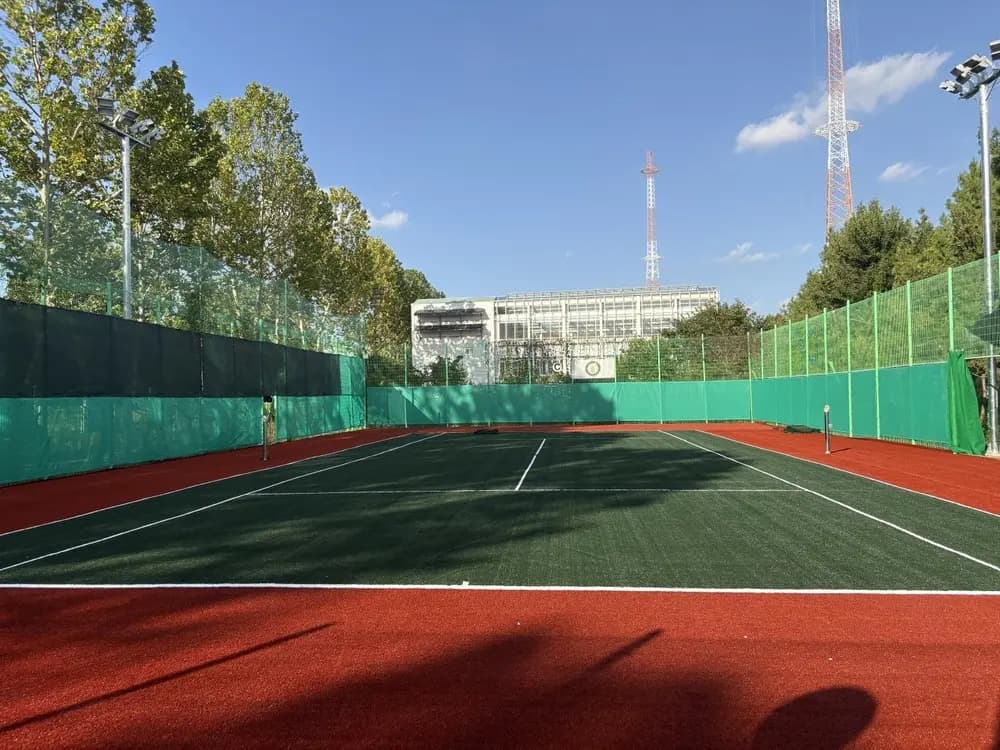 アイビーテニス:ソウル市ノウォン区、都心の人工芝オアシス