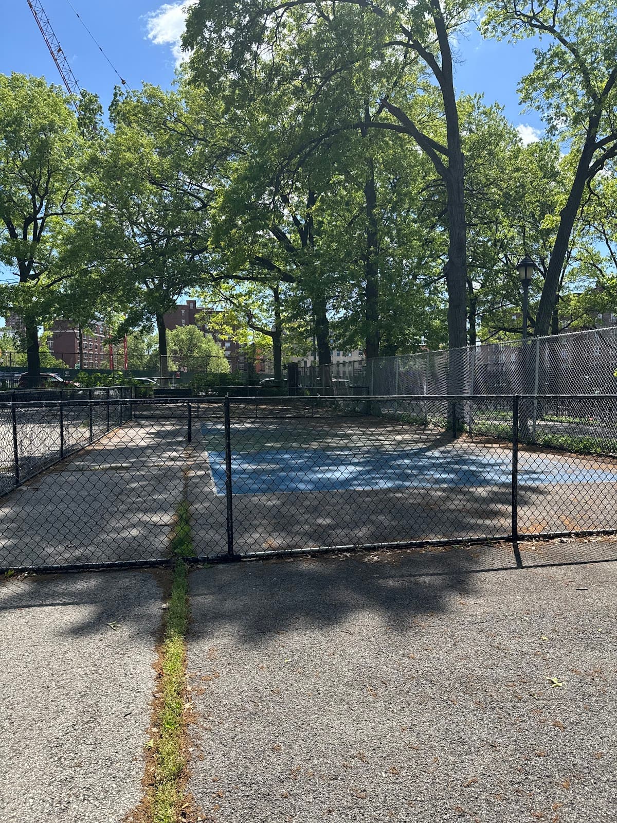 Pickleball Court