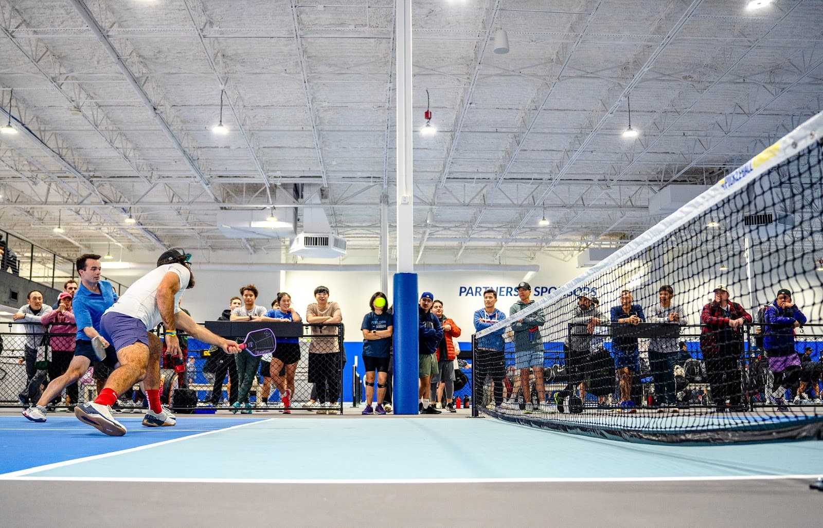 Pickleball Kingdom Dallas North