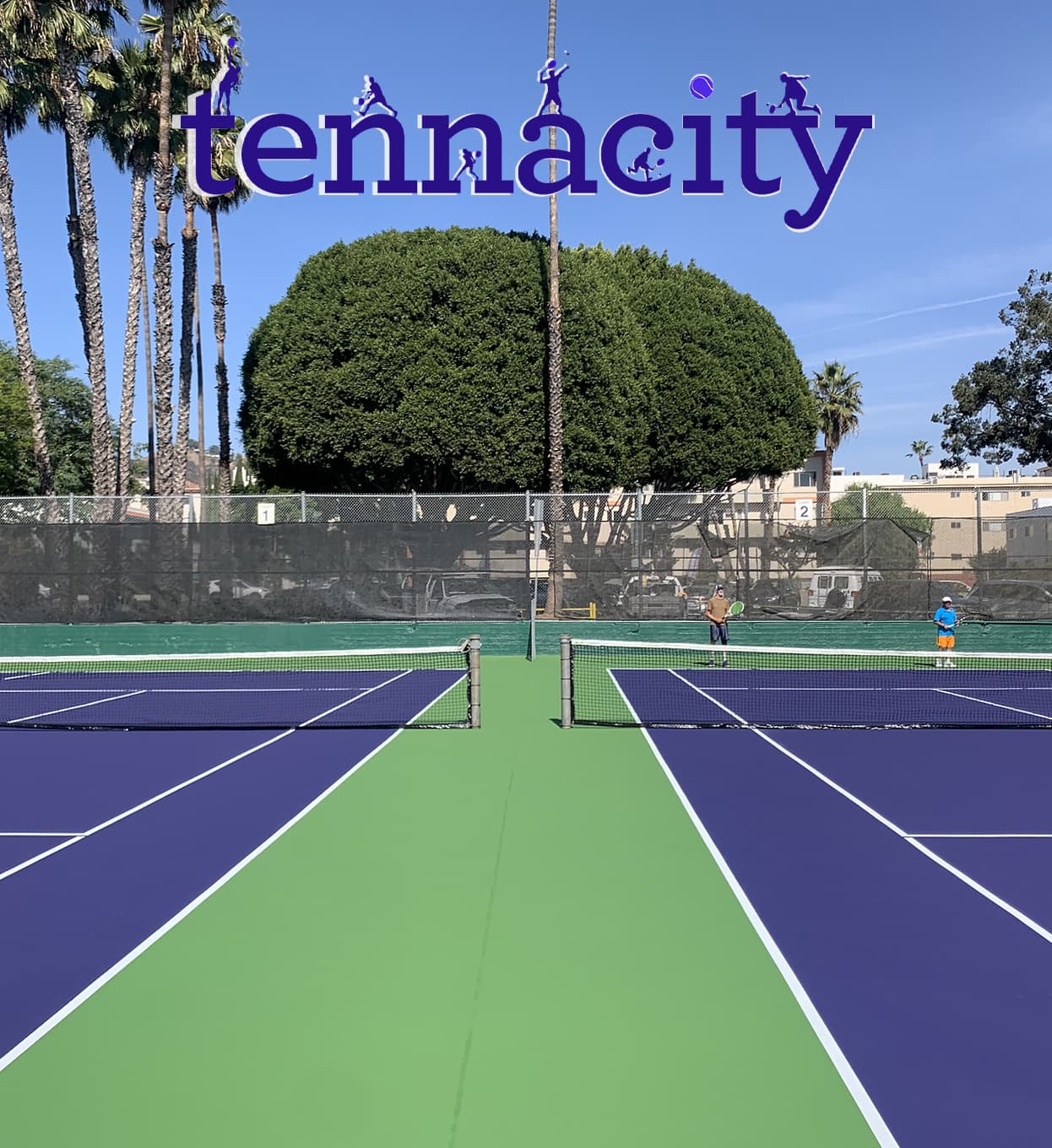 Tennacity
