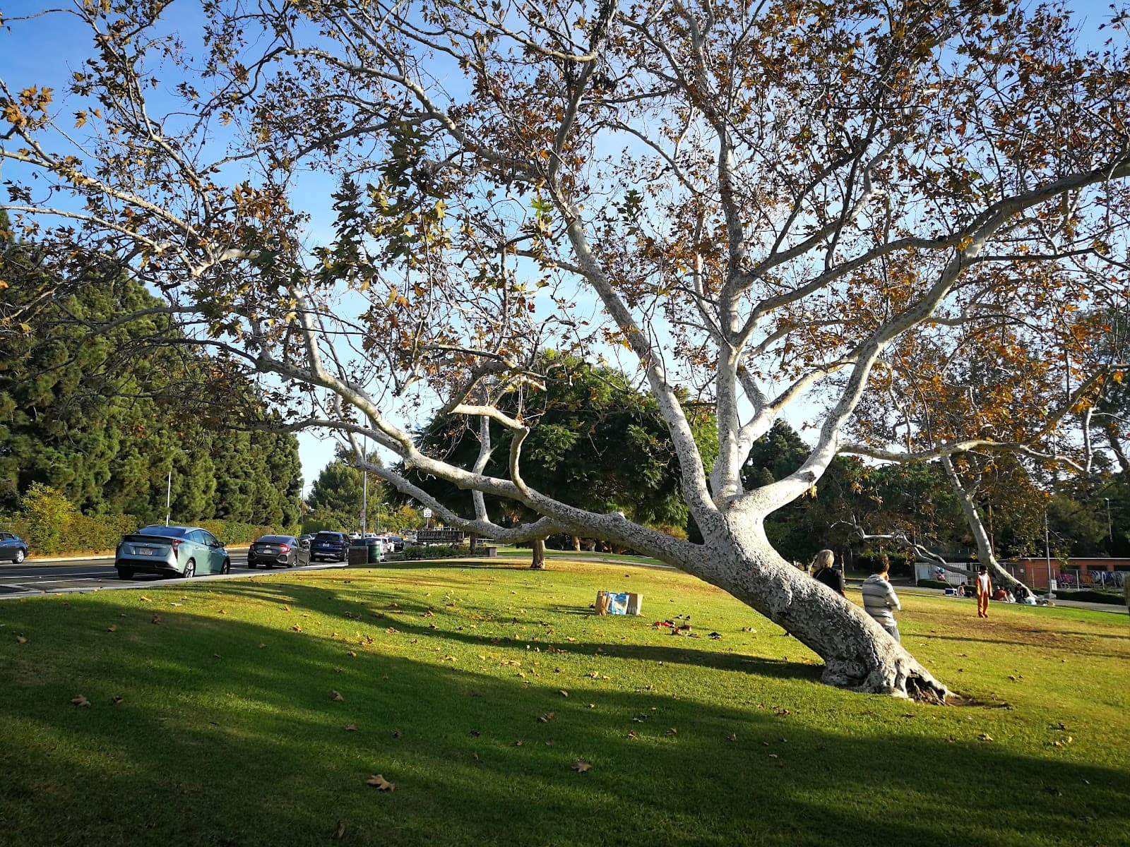 Cheviot Hills Recreation Center