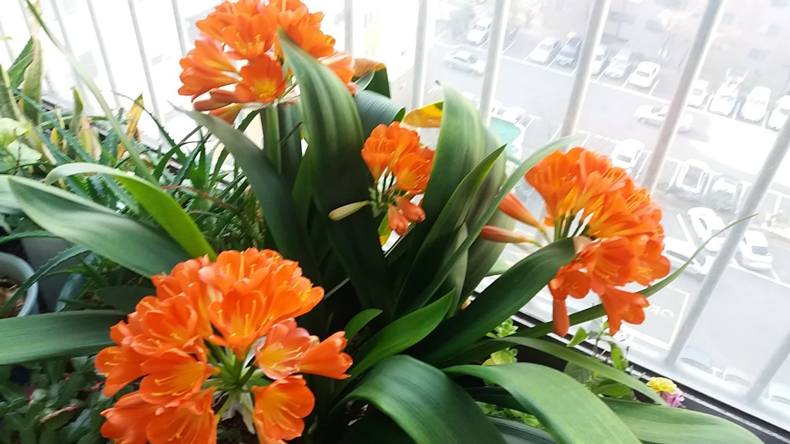 가락타운테니스장