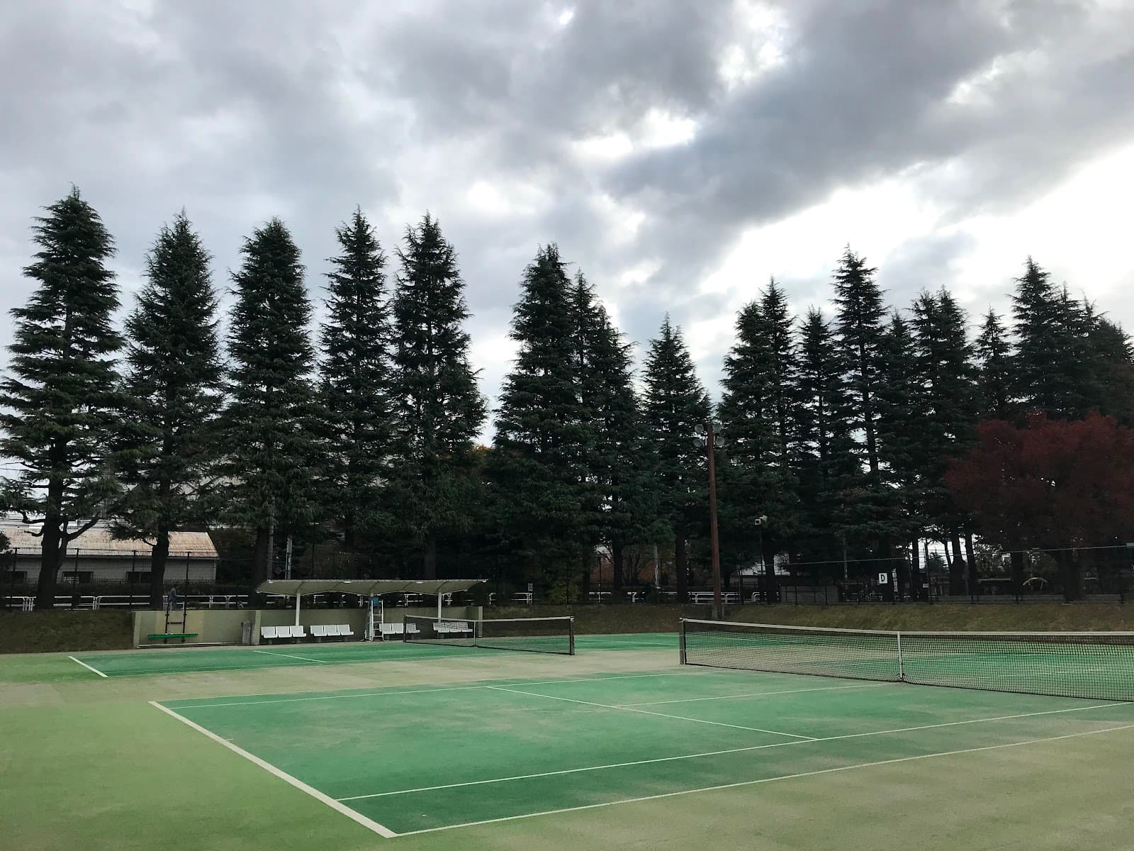 世田谷公園テニスコート