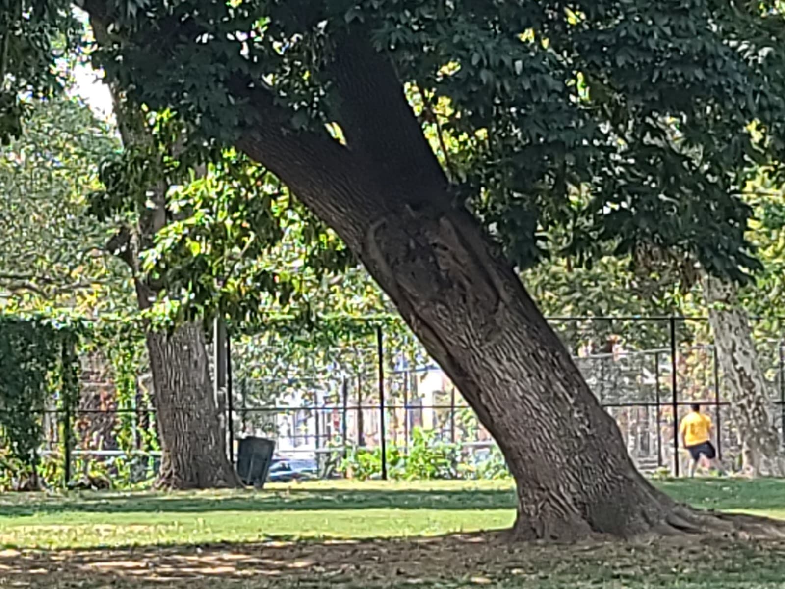 Wharton Square Playground