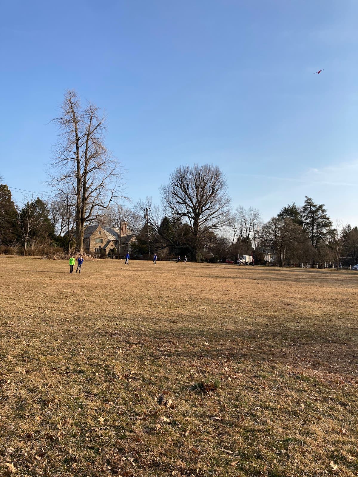 Allens Lane Park
