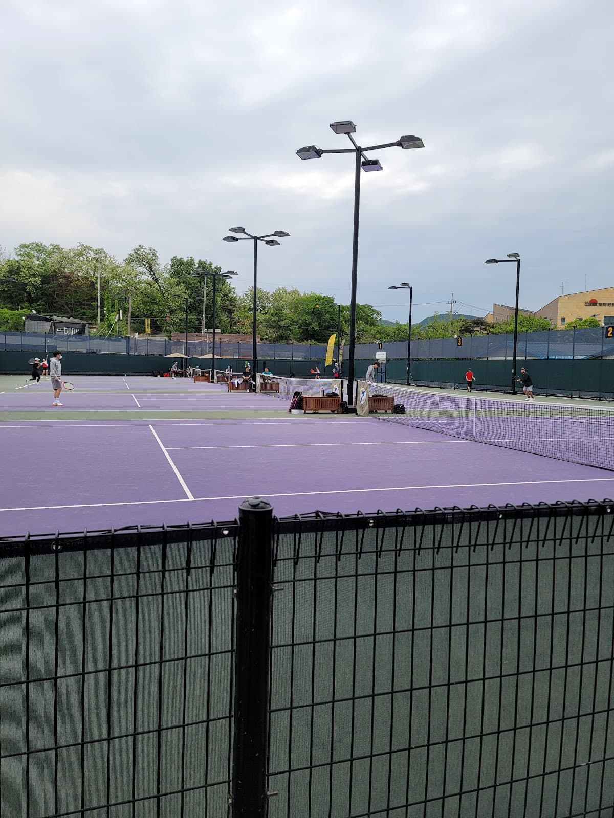 Ts sport tennis club