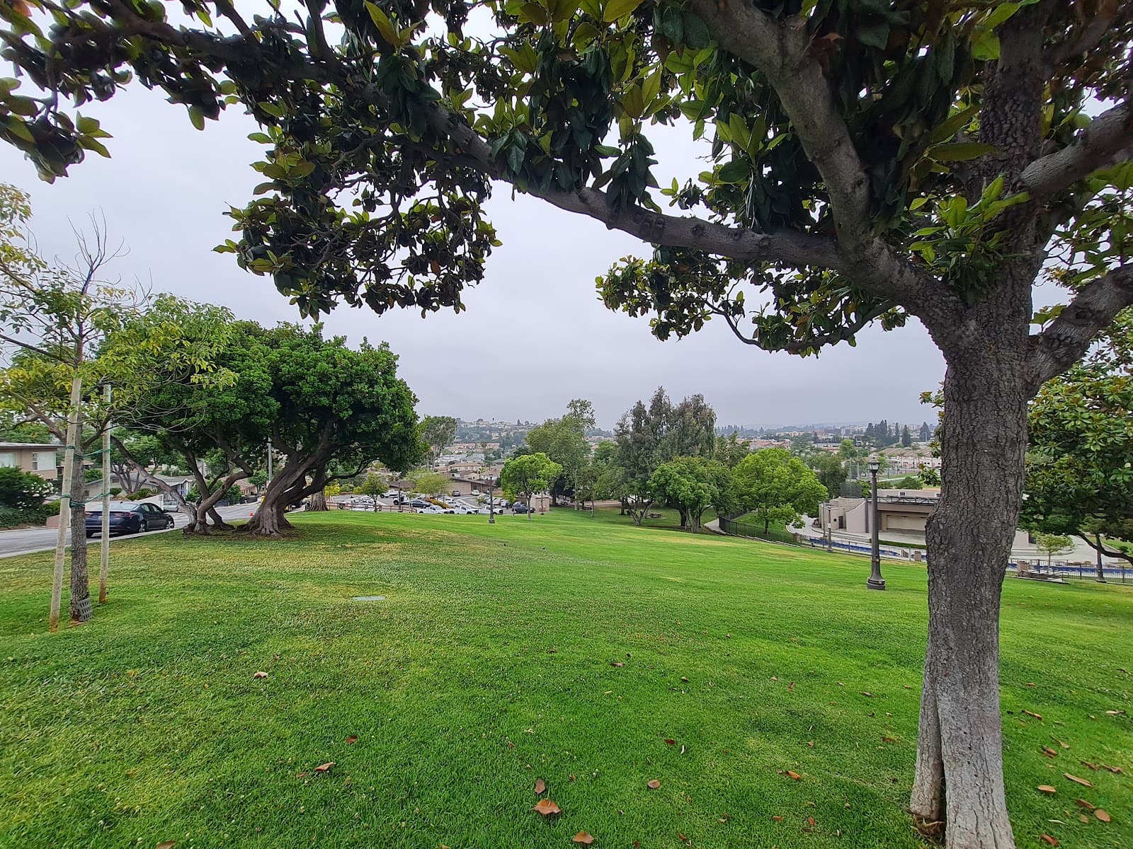 Barnes Park