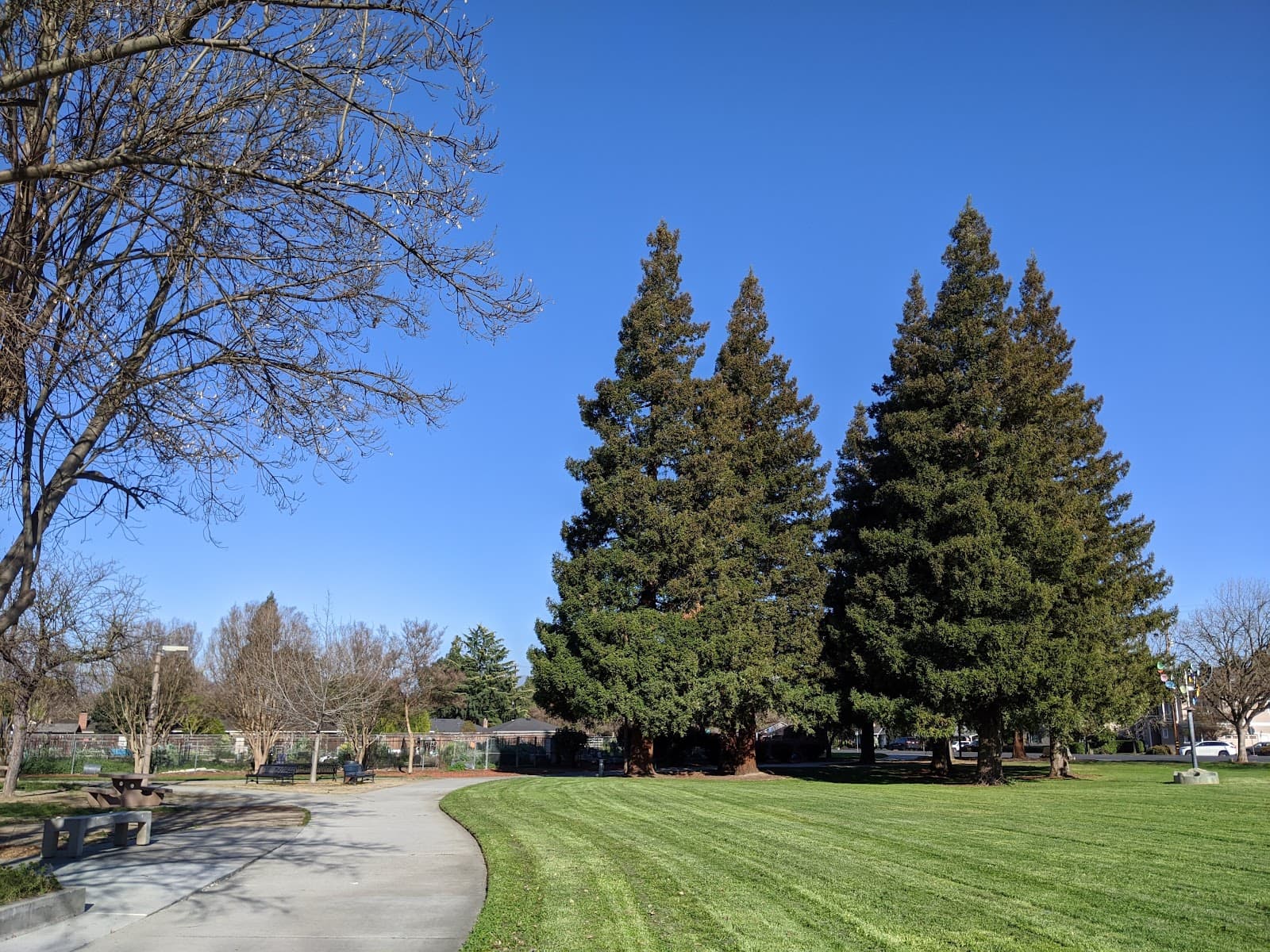 Wallenberg Park
