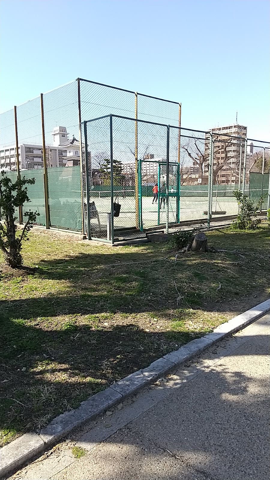 住吉公園テニスコート